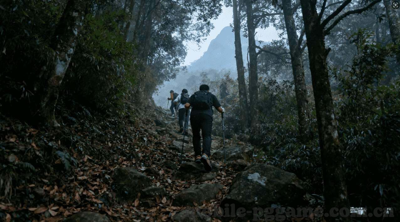 世界杯塞尔维亚起诉-世界杯塞尔维亚起诉,足球与政治的交织